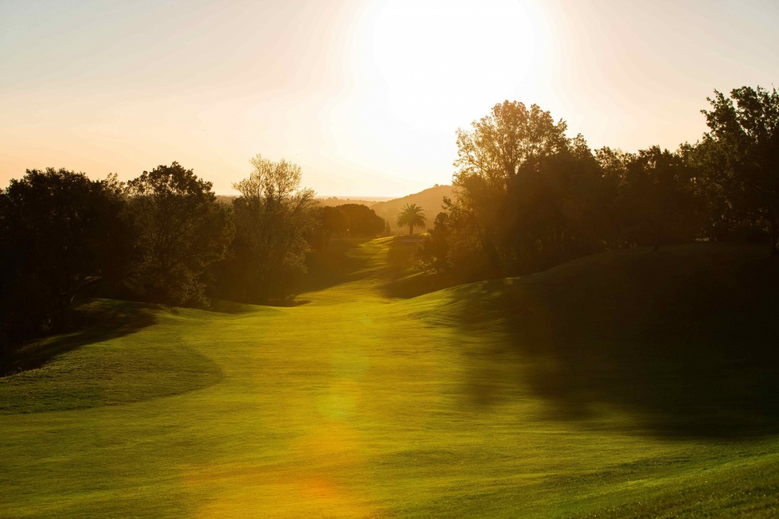 Packages  - Golfiques