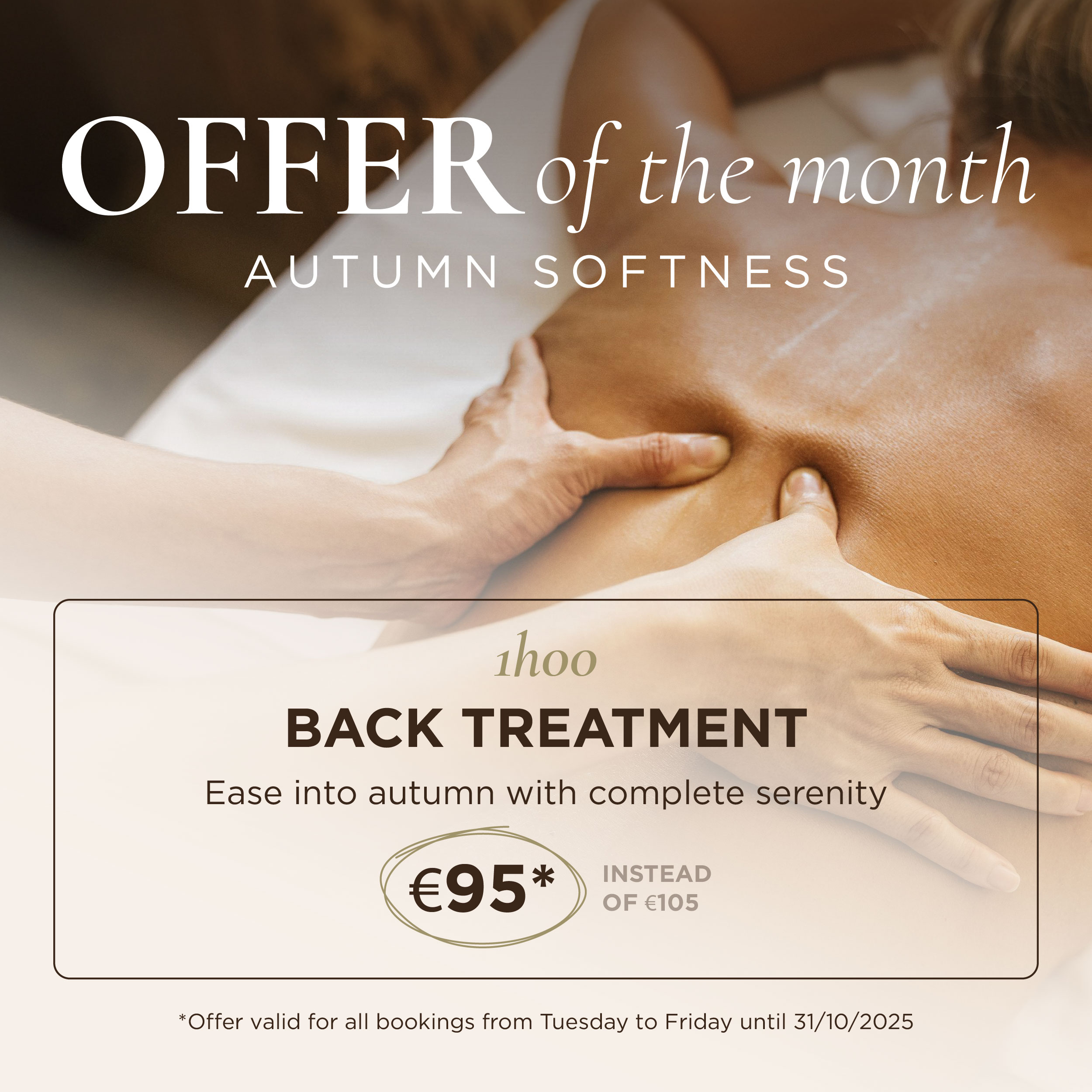 Offer of the month DAYA