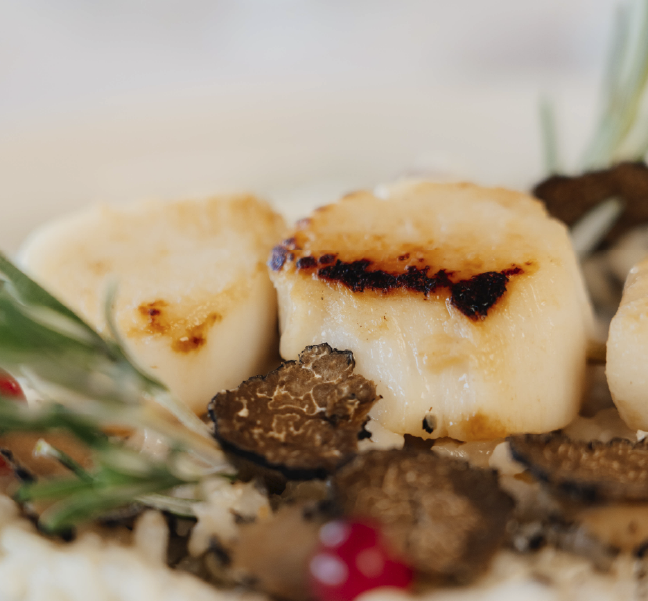 photo-article-1-copie-4